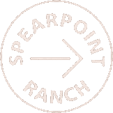 spearpoint logo footer